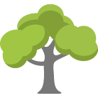 Waukesha Tree Removal Service