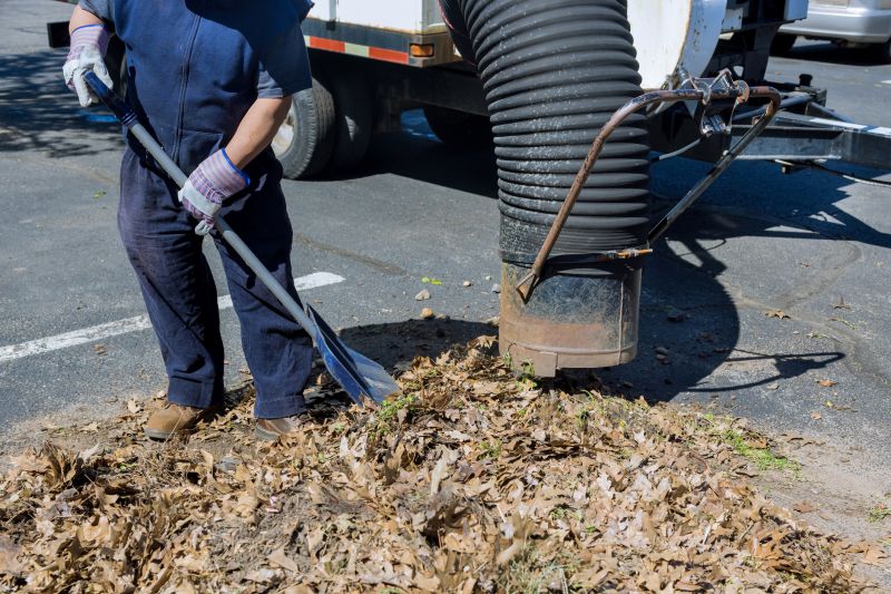 Leaf Removal at Work