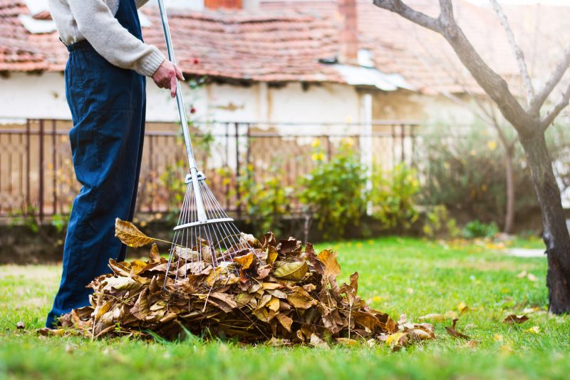 Clean Lawn After Leaf Removal