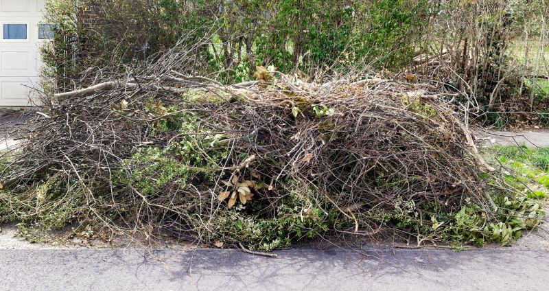Debris Clearing