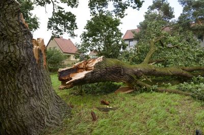 Common Pitfall to Avoid