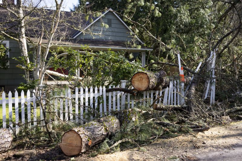 Tree Removal in Waukesha