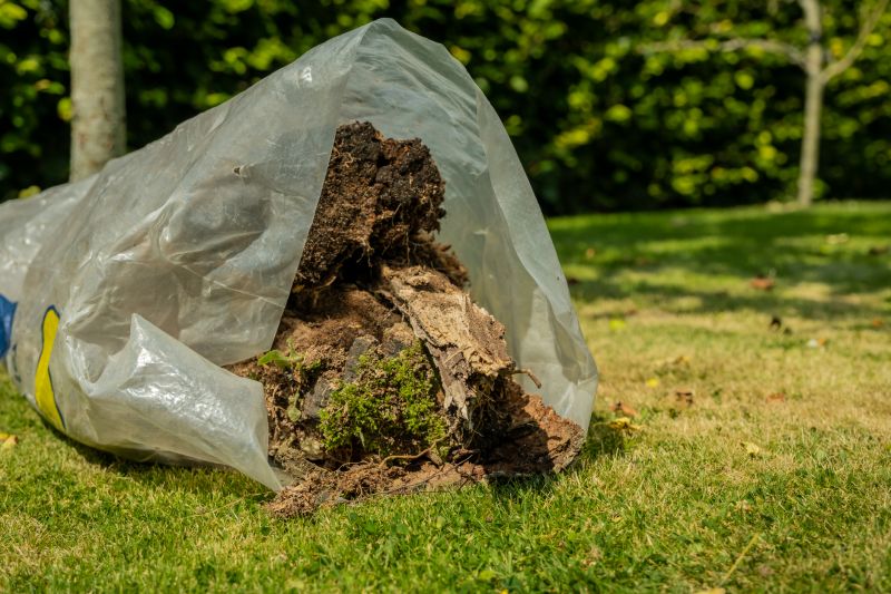Seasonal Landscape Impact
