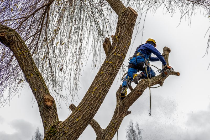Safety Equipment in Use