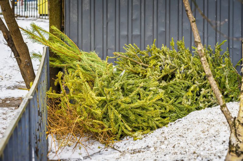Winter Tree Removal