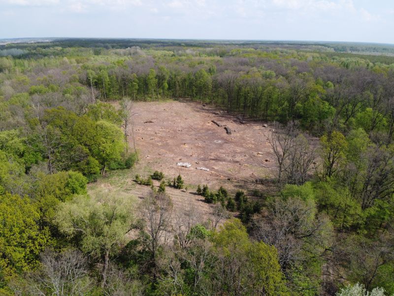 Land Clearing Activity