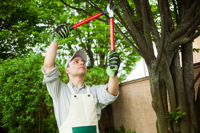 Tree Care Companies