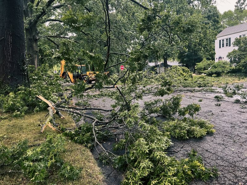 Storm Damage Response